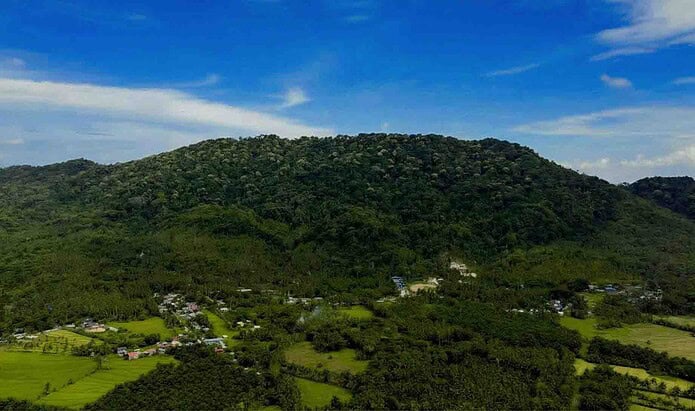 The Mt. Magdiwata in San Francisco, Agusan del Sur is blanketed in pale cream-white blossoms that, from afar, resemble clusters of giant cauliflowers. Photos courtesyof Green=Collar Consulting Services