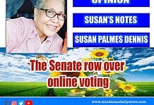 The Senate row over online voting