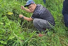 COWD flows green: team plants bamboo in Macasandig to back PAWD eco-initiative
