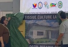 PhilFIDA renovates Misor’s abaca tissue culture lab