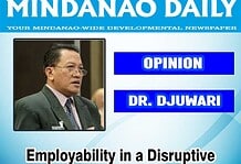 Employability in a Disruptive Digital Society