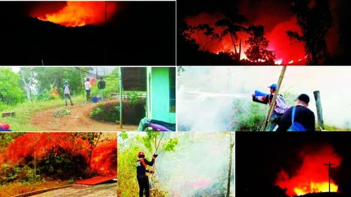 Flames engulf portions of the San Jose Water District watershed in Dinagat Islands as responders work to contain the fire near the Manoligao pumping station and main reservoir. The blaze damaged water facilities and forced the suspension of water supply services in affected communities. Photos courtesy of the San Jose Water District.