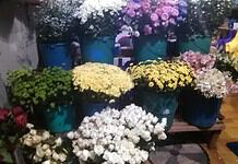 Freshness you can feel only with Rocero Flower Shop