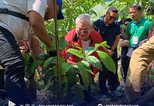 From loggers to baristas’ choice: Agusan del Sur bets big on upland coffee