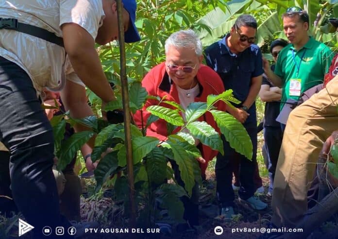 EYE ON SPECIALTY COFFEE.Agusan del Sur 2nd District Rep. Adolph Edward “Eddiebong” Plaza (center, in red jacket) closely inspects the growth of a young coffee sapling during an on-site visit to the upland model plantation in Barangay Padiay, Sibagat, Agusan del Sur. The initiative forms part of the province’s agroforestry push to replicate successful highland coffee-growing practices. (Photo courtesy of PTV Agusan del Sur)